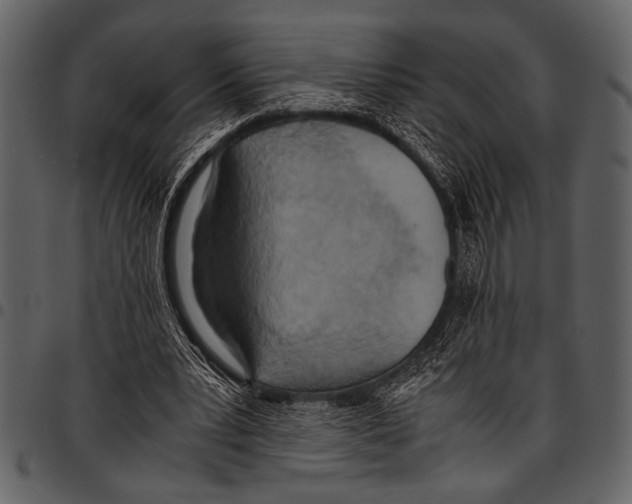 X0000097480391200803201514