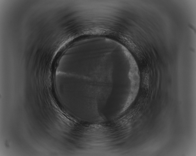 X0000097480392200803201514