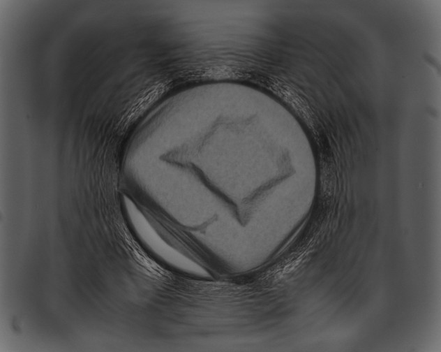 X0000097480393200803201514