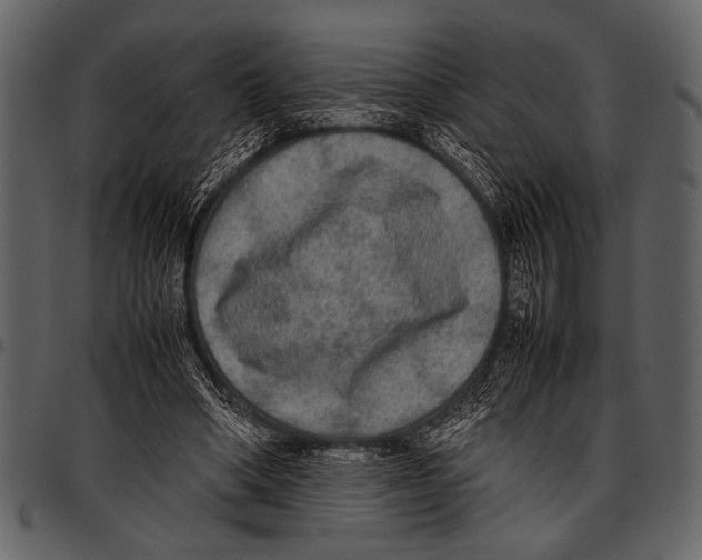 X0000097480394200803201514