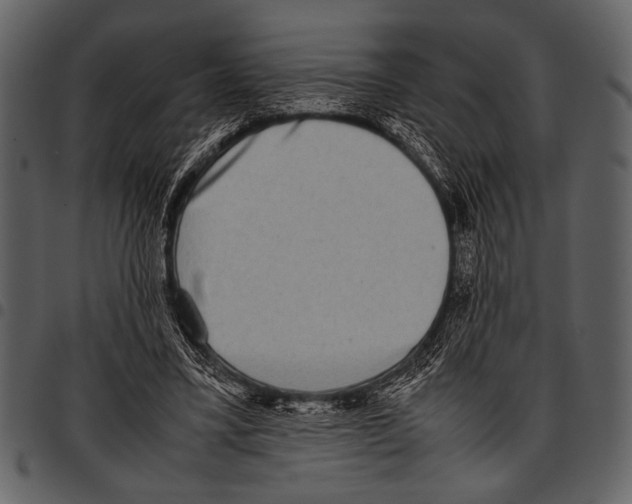 X0000097480395200803201514