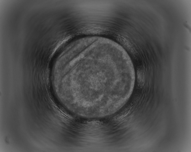 X0000097480396200803201513