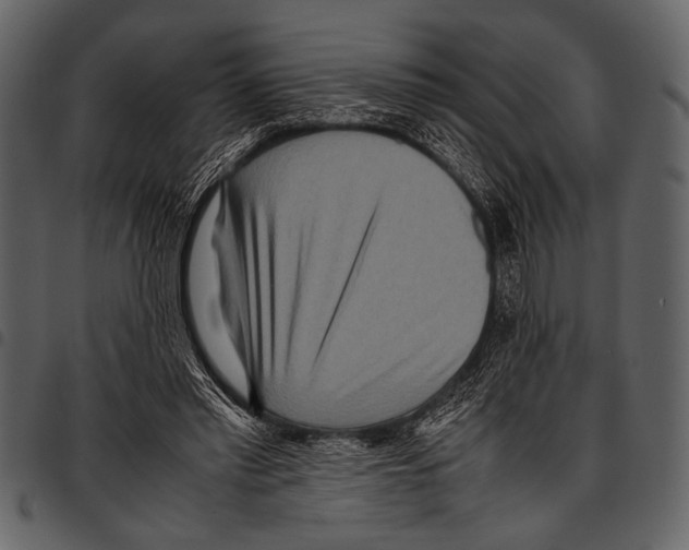 X0000097480397200803201513