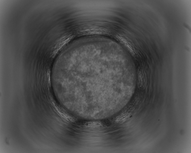 X0000097480398200803201513