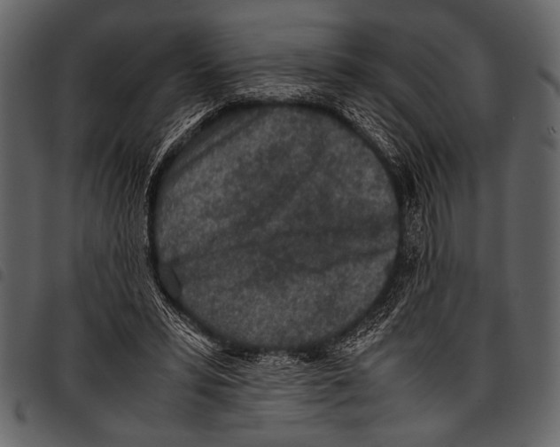 X0000097480399200803201513