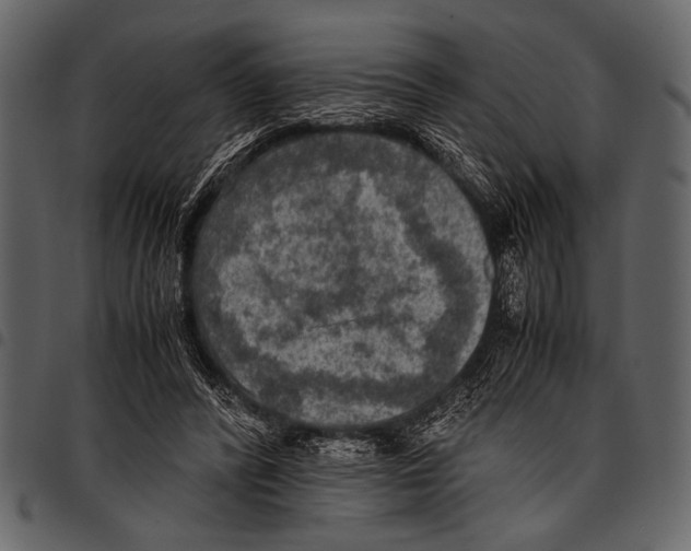 X0000097480400200803201513