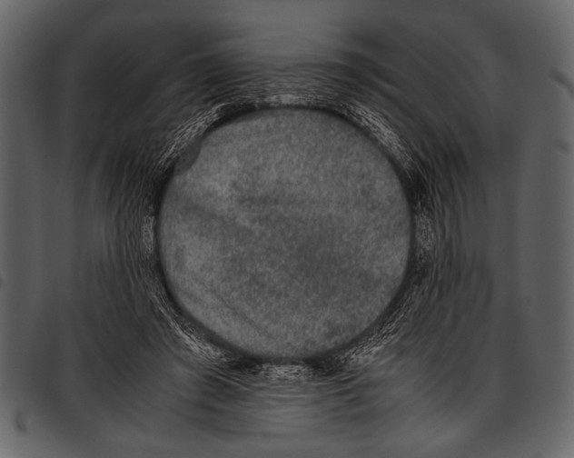 X0000097480401200803201513