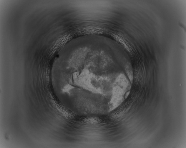 X0000097480402200803201513