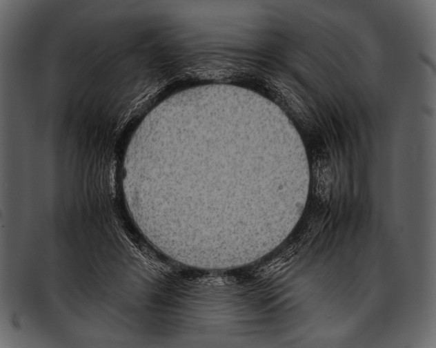 X0000097480404200803201513