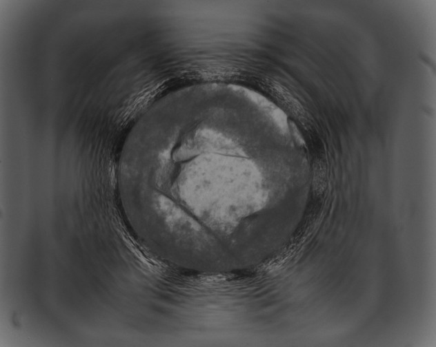 X0000097480405200803201513