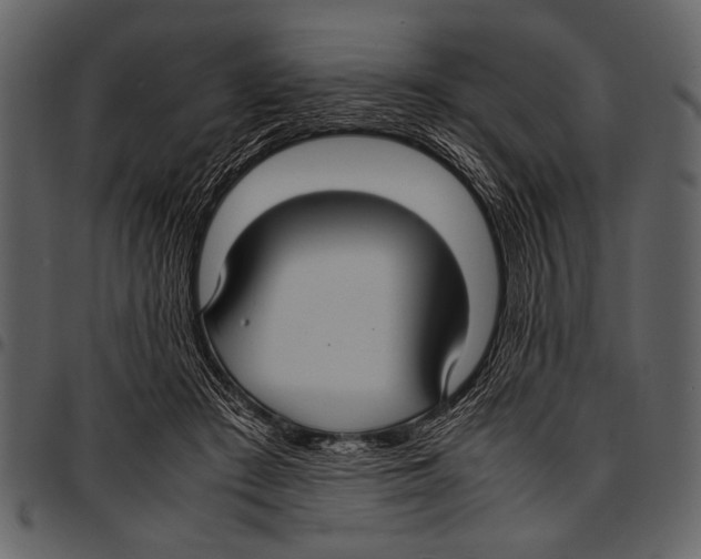 X0000097480409200803201513