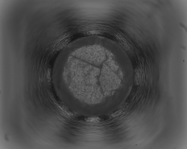 X0000097480410200803201513