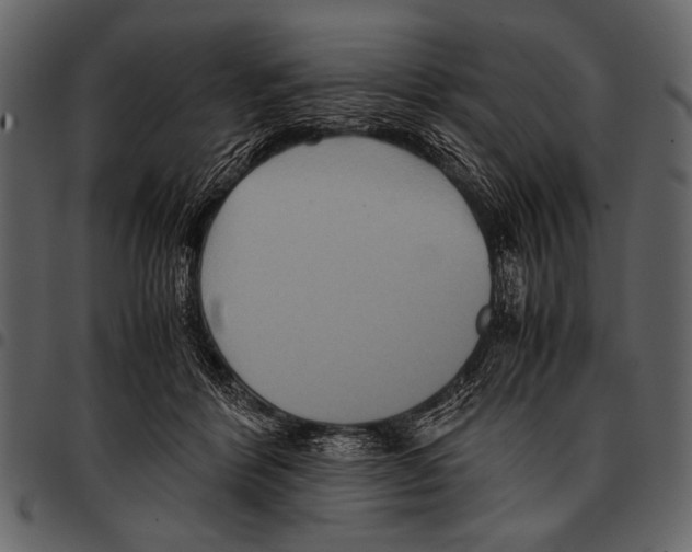 X0000097480412200803201513