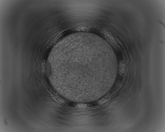 X0000097480413200803201513