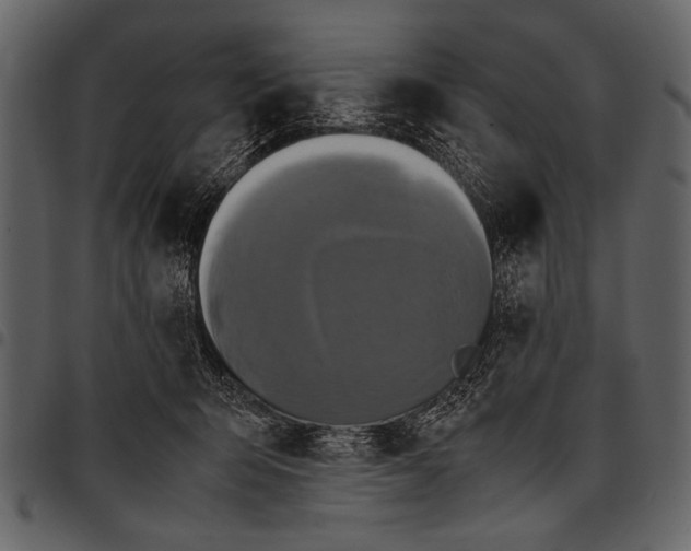 X0000097480415200803201513