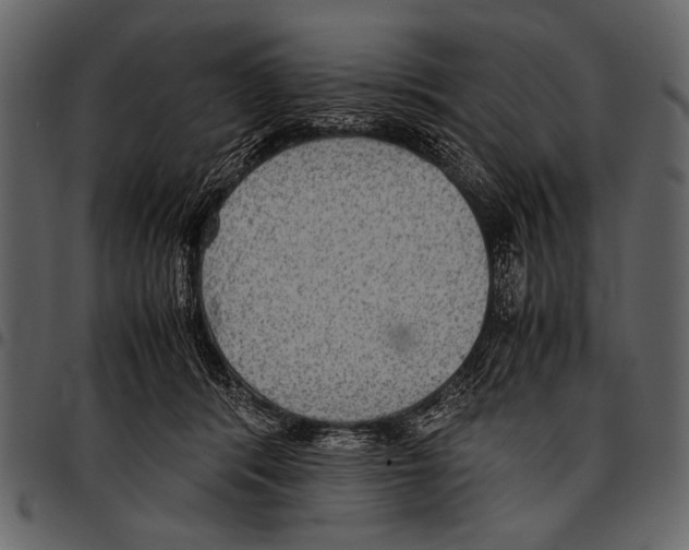 X0000097480416200803201513