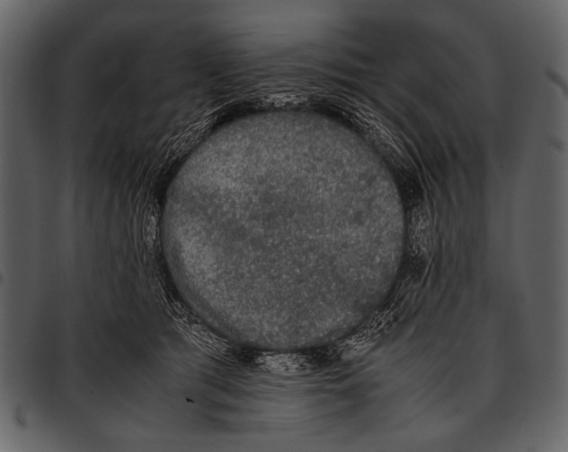 X0000097480417200803201513