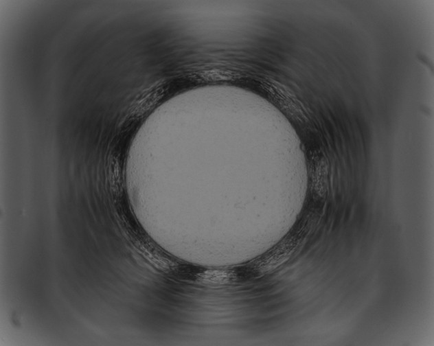 X0000097480418200803201513