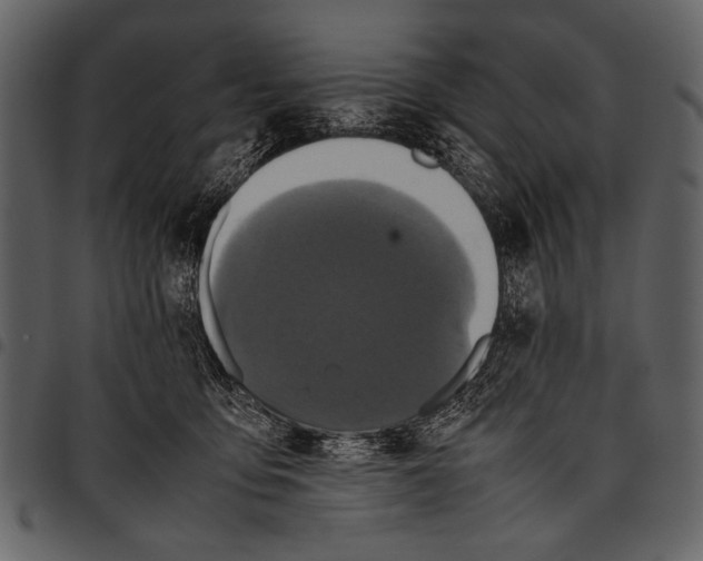 X0000097480419200803201513