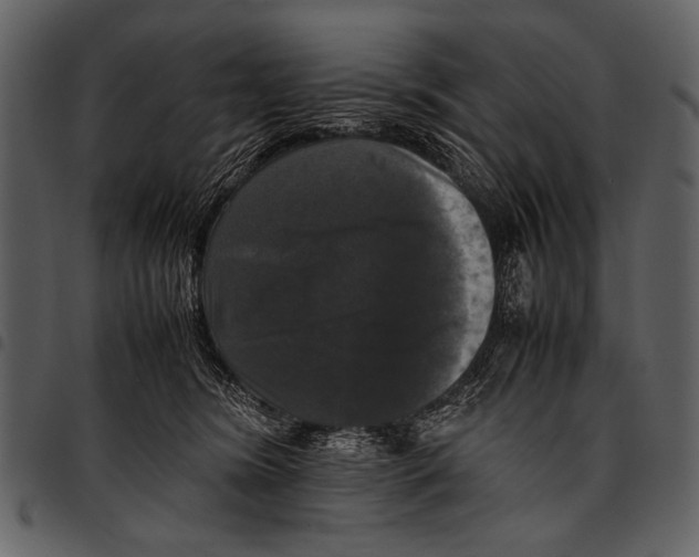 X0000097480420200803201513