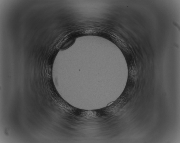 X0000097480421200803201513