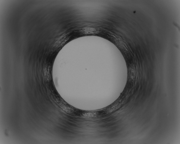 X0000097480422200803201513