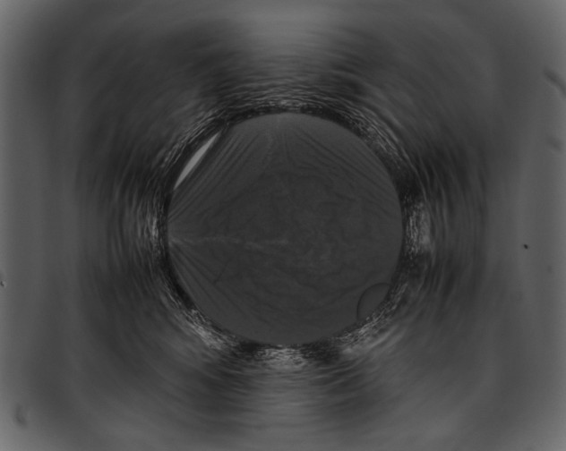 X0000097480424200803201513