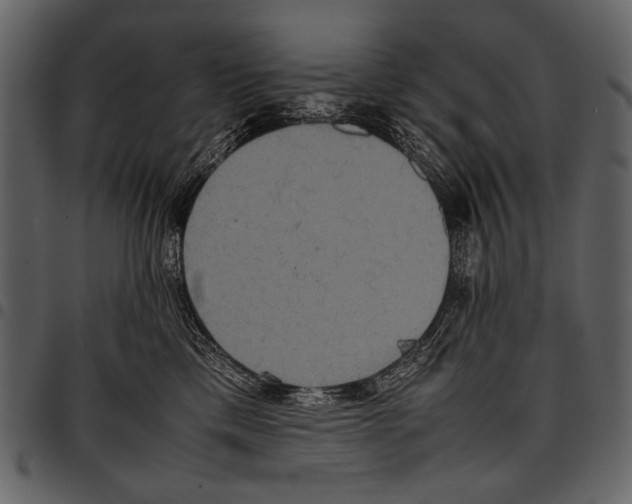 X0000097480425200803201513