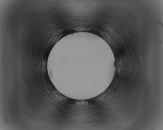 X0000097480426200803201513