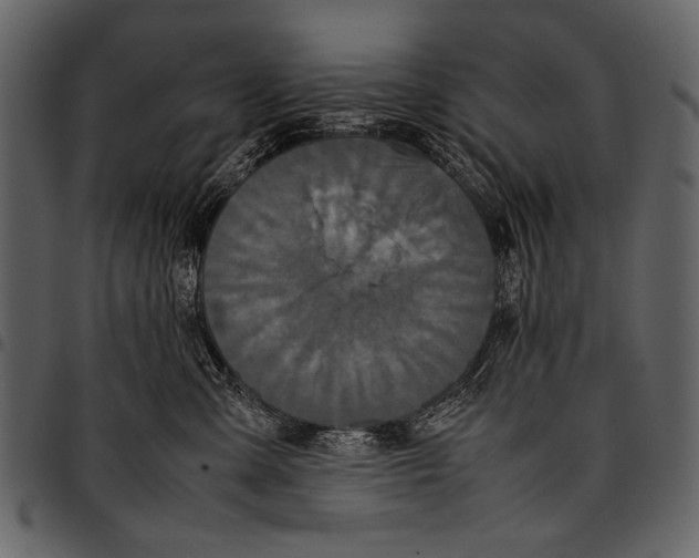 X0000097480427200803201513