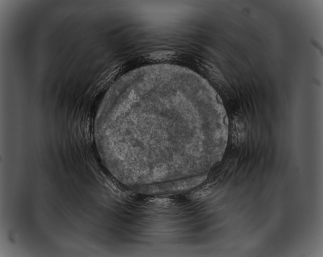 X0000097480428200803201513