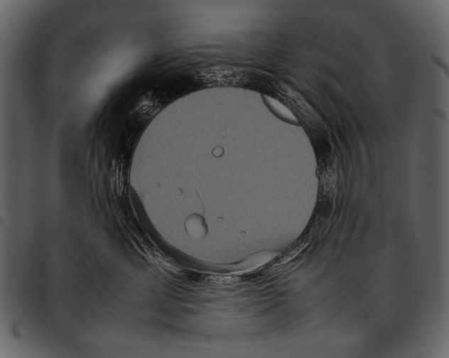 X0000097480429200803201513