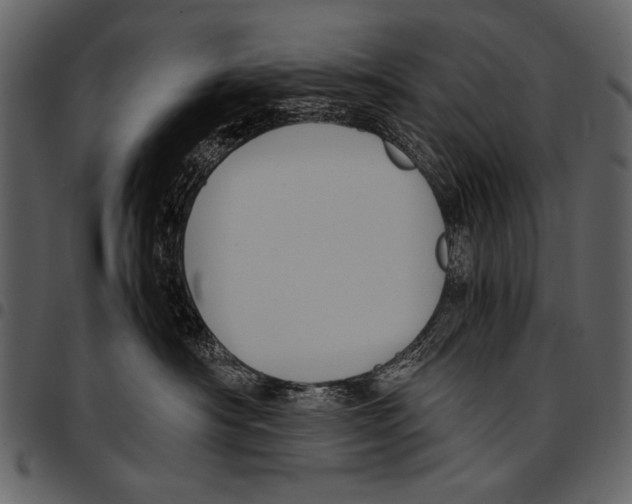 X0000097480430200803201513