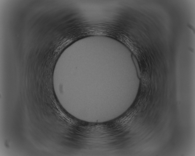 X0000097480433200803201512