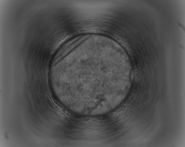 X0000097480434200803201512