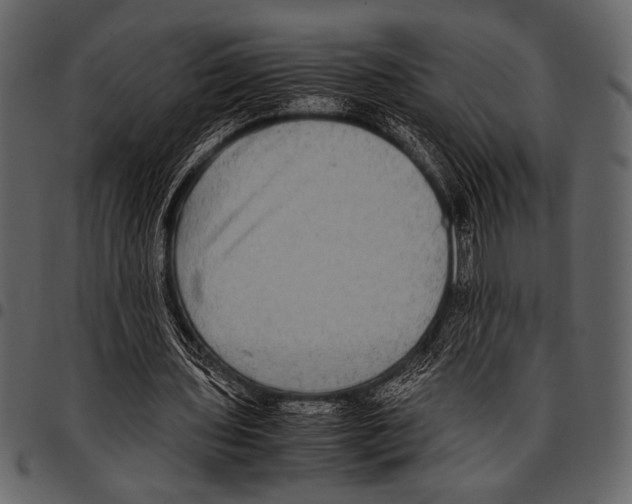 X0000097480435200803201512