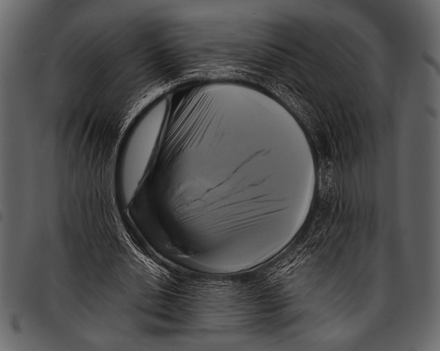 X0000097480438200803201512