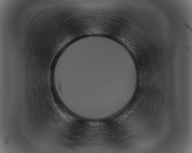 X0000097480439200803201512