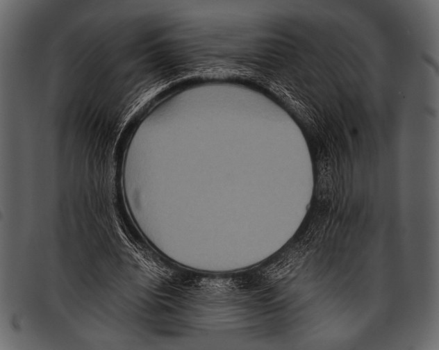 X0000097480440200803201512