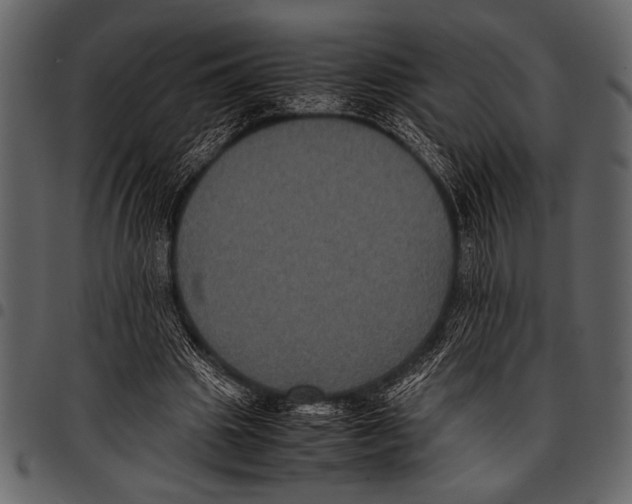 X0000097480441200803201512