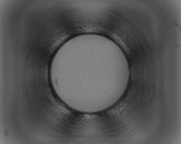 X0000097480442200803201512