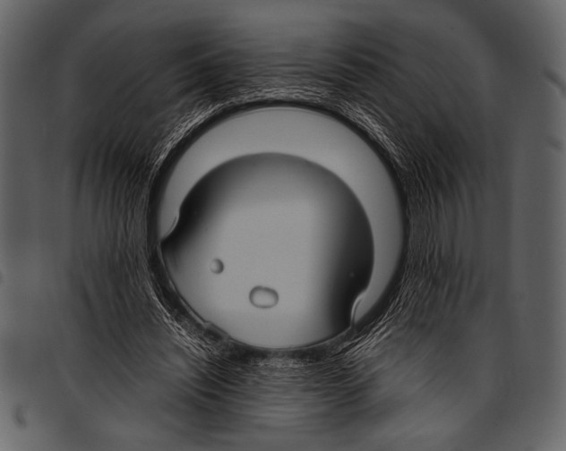 X0000097480444200803201513