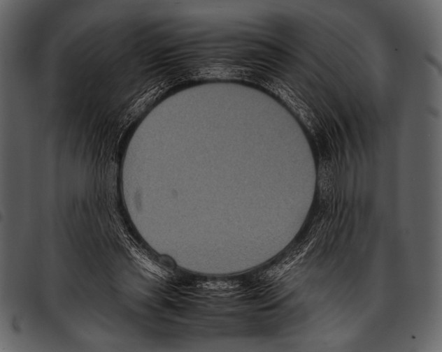 X0000097480445200803201513