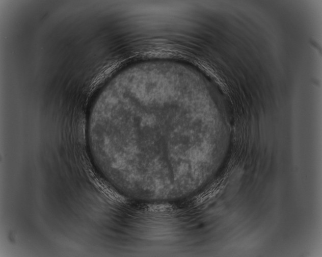 X0000097480446200803201513