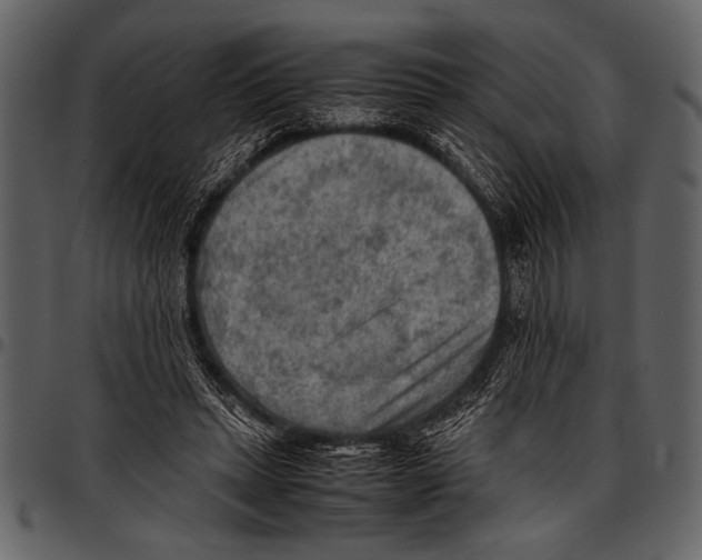 X0000097480447200803201513