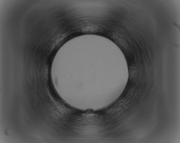 X0000097480448200803201513