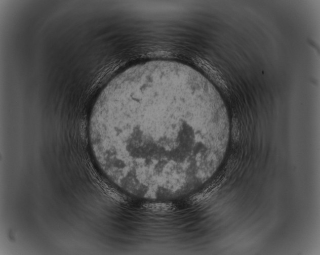 X0000097480449200803201513