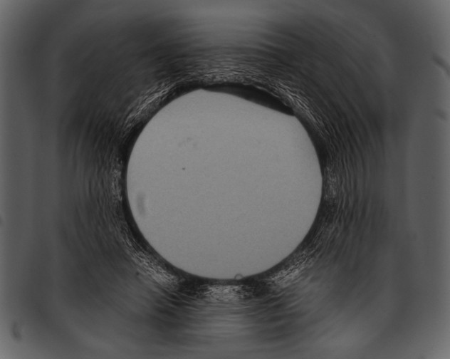 X0000097480450200803201513