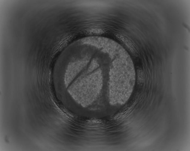 X0000097480451200803201513