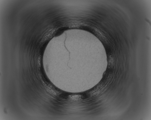 X0000097480452200803201513